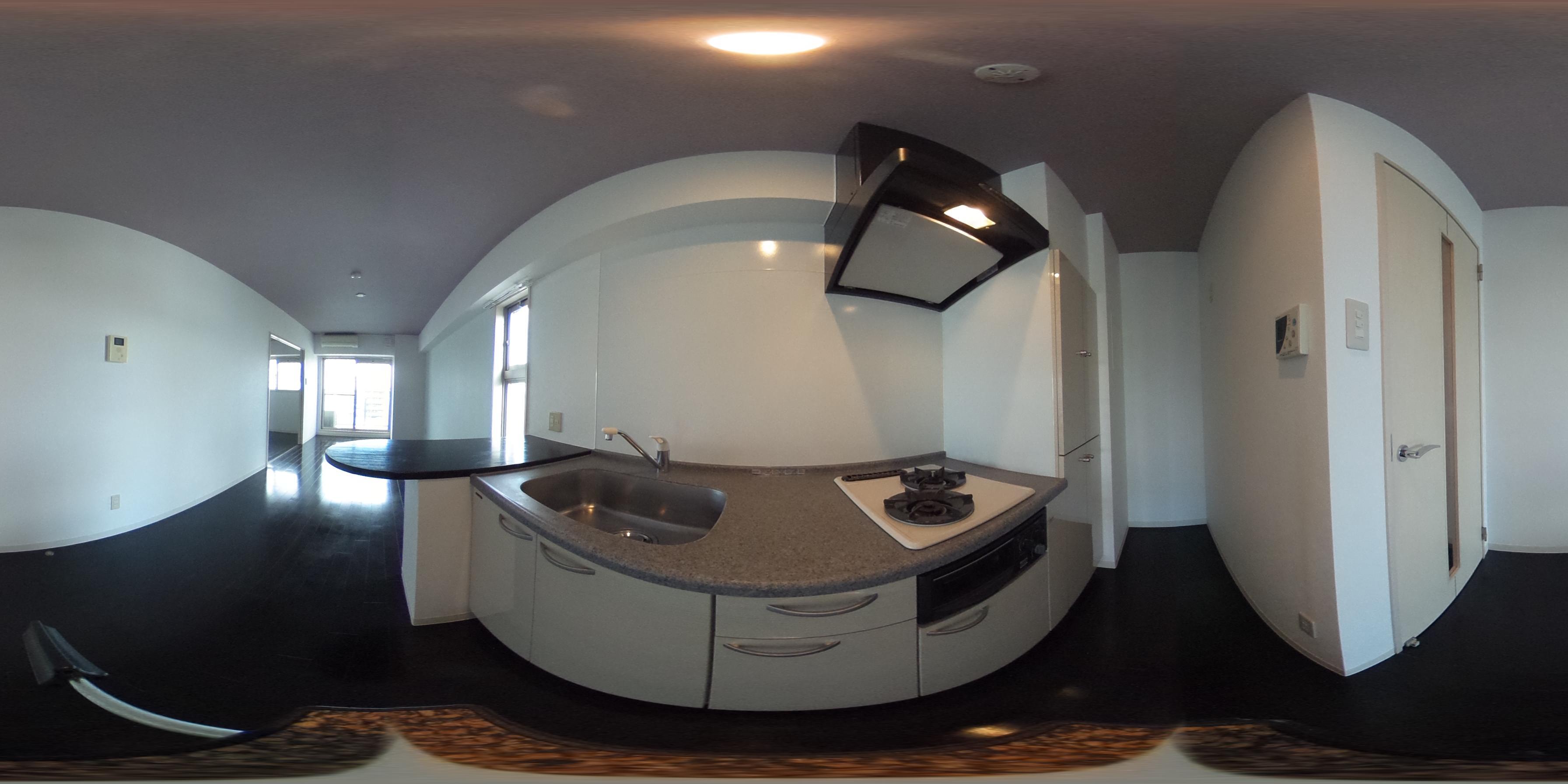 パノラマ画像_1