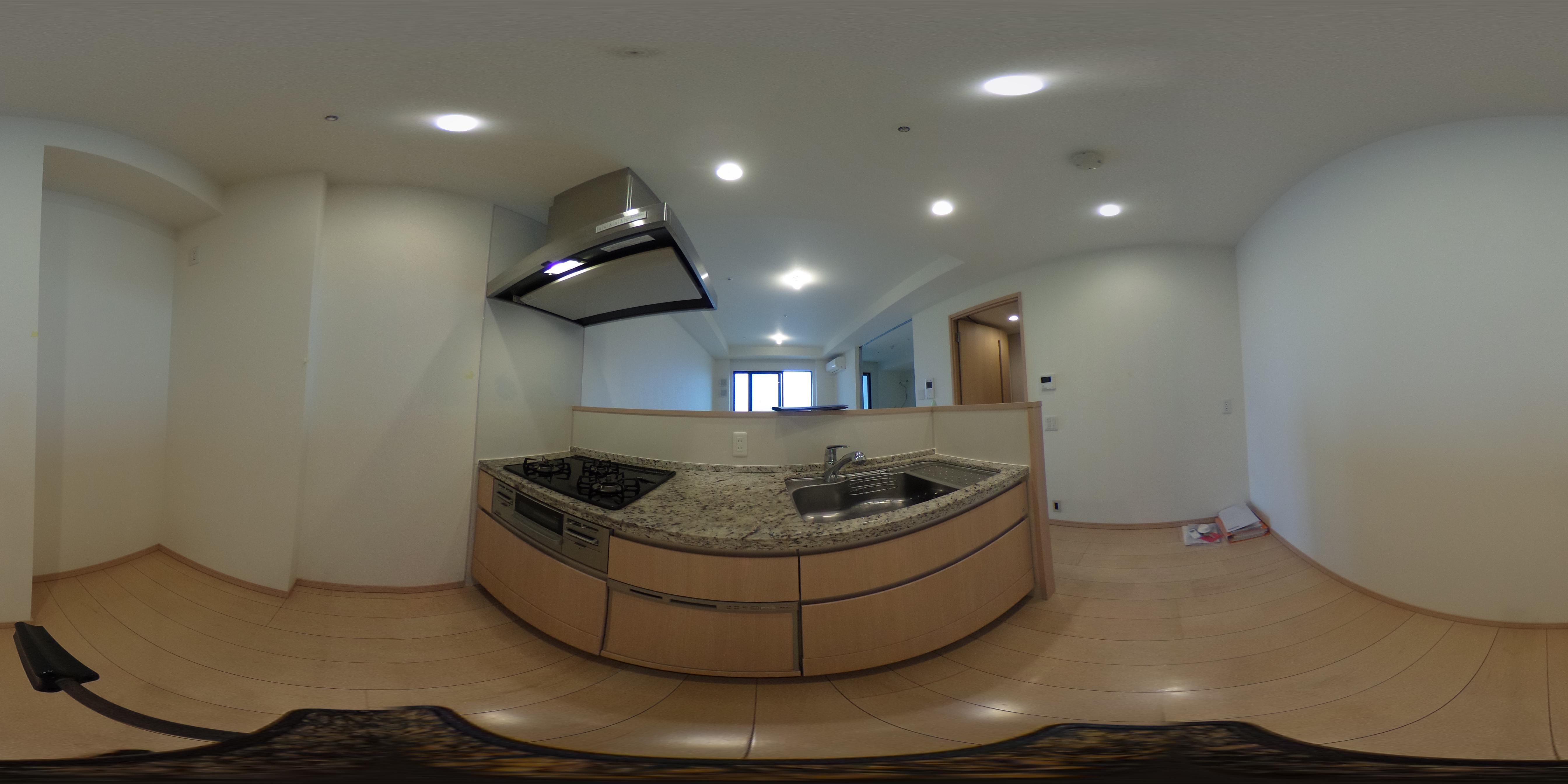 パノラマ画像_1