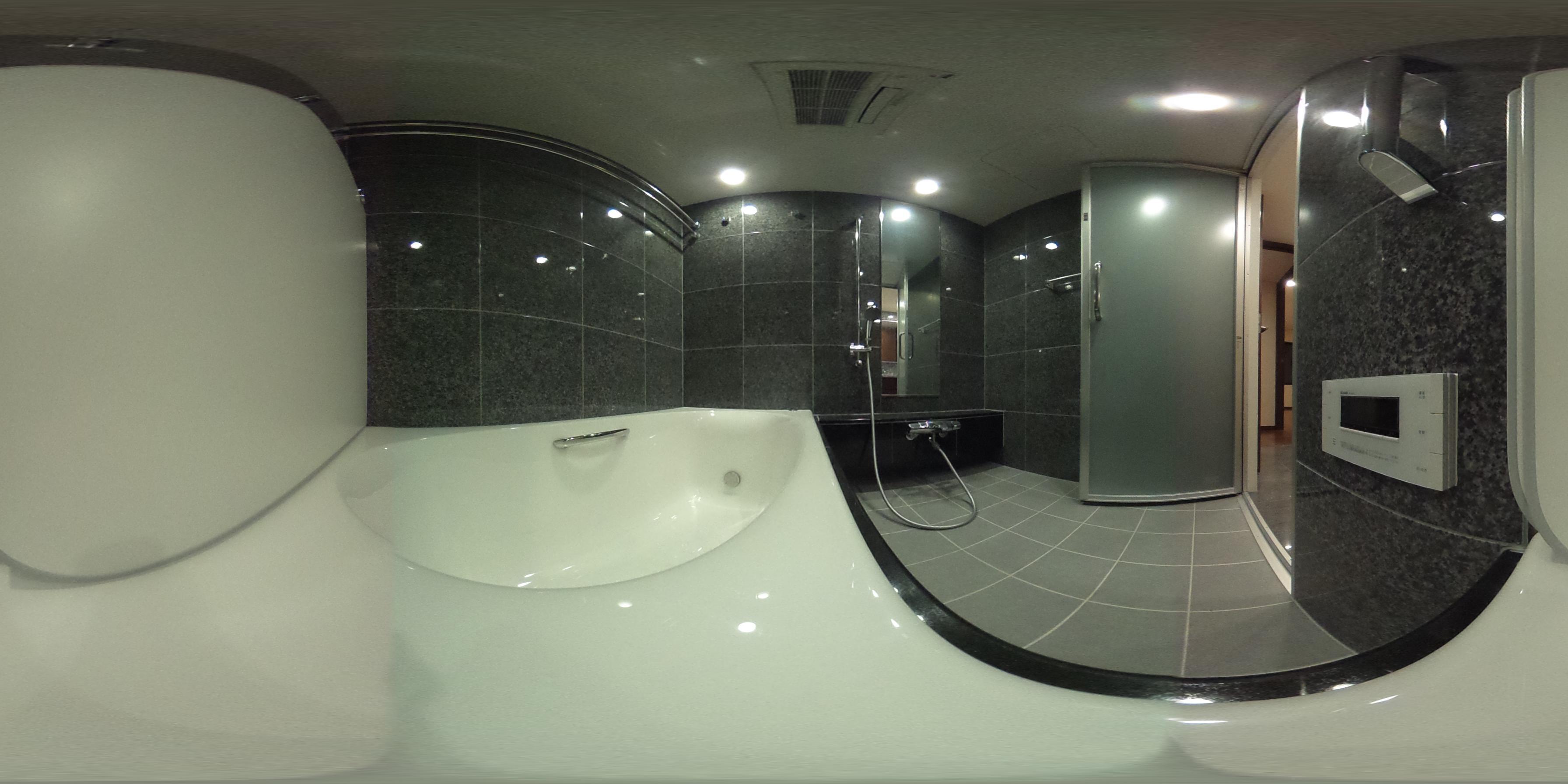 パノラマ画像_2