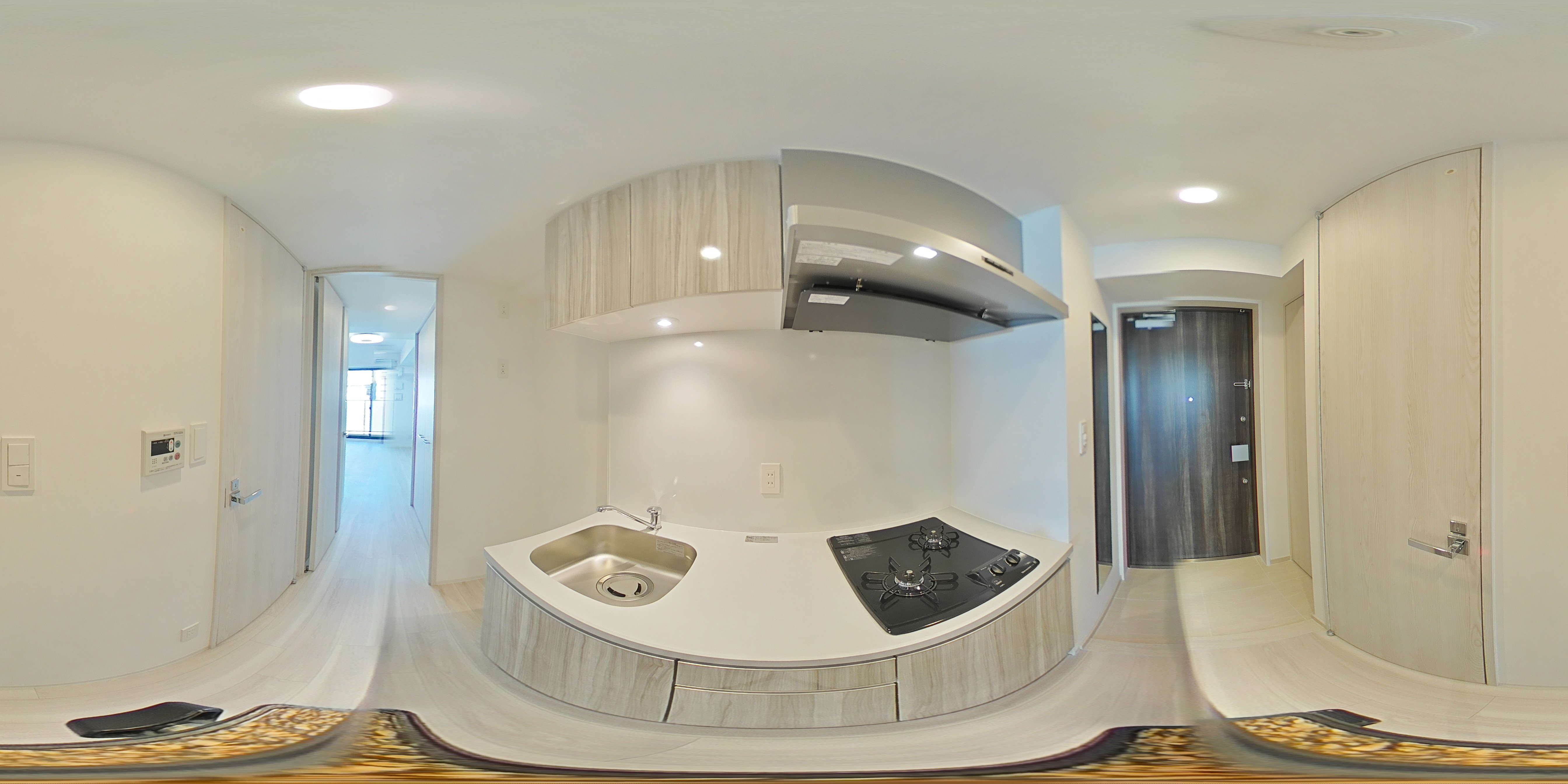 パノラマ画像_1