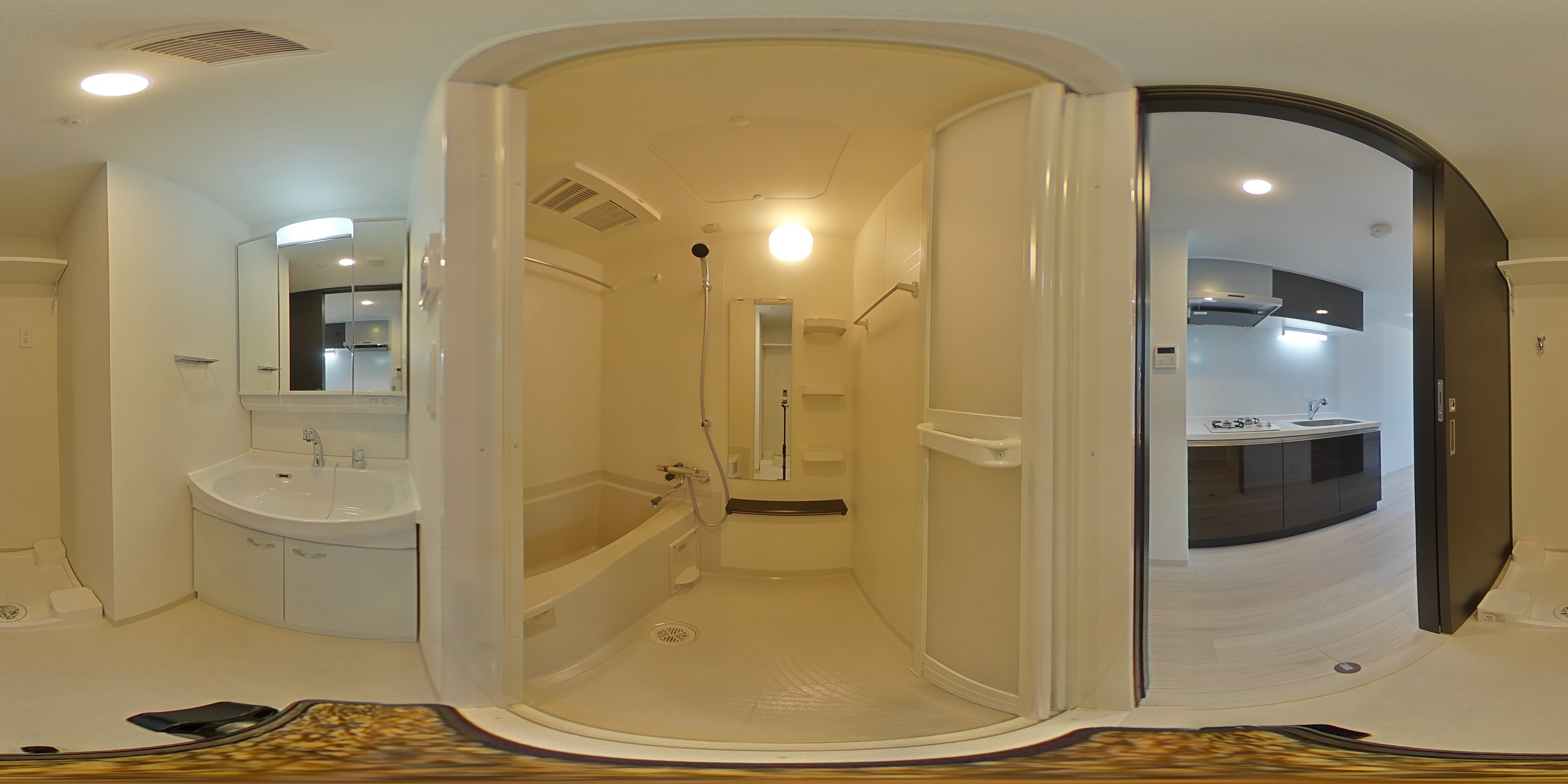 パノラマ画像_2