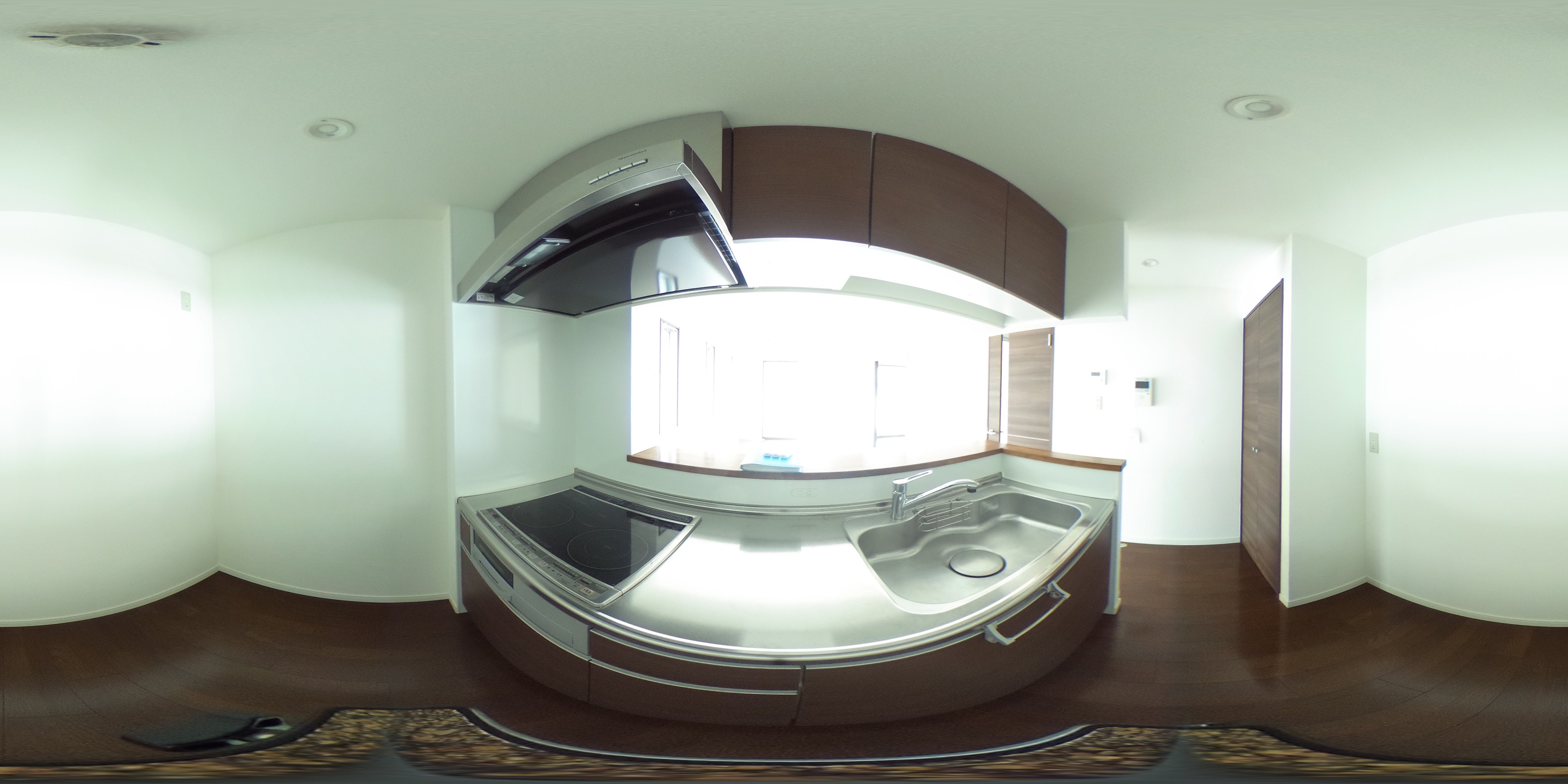 パノラマ画像_1