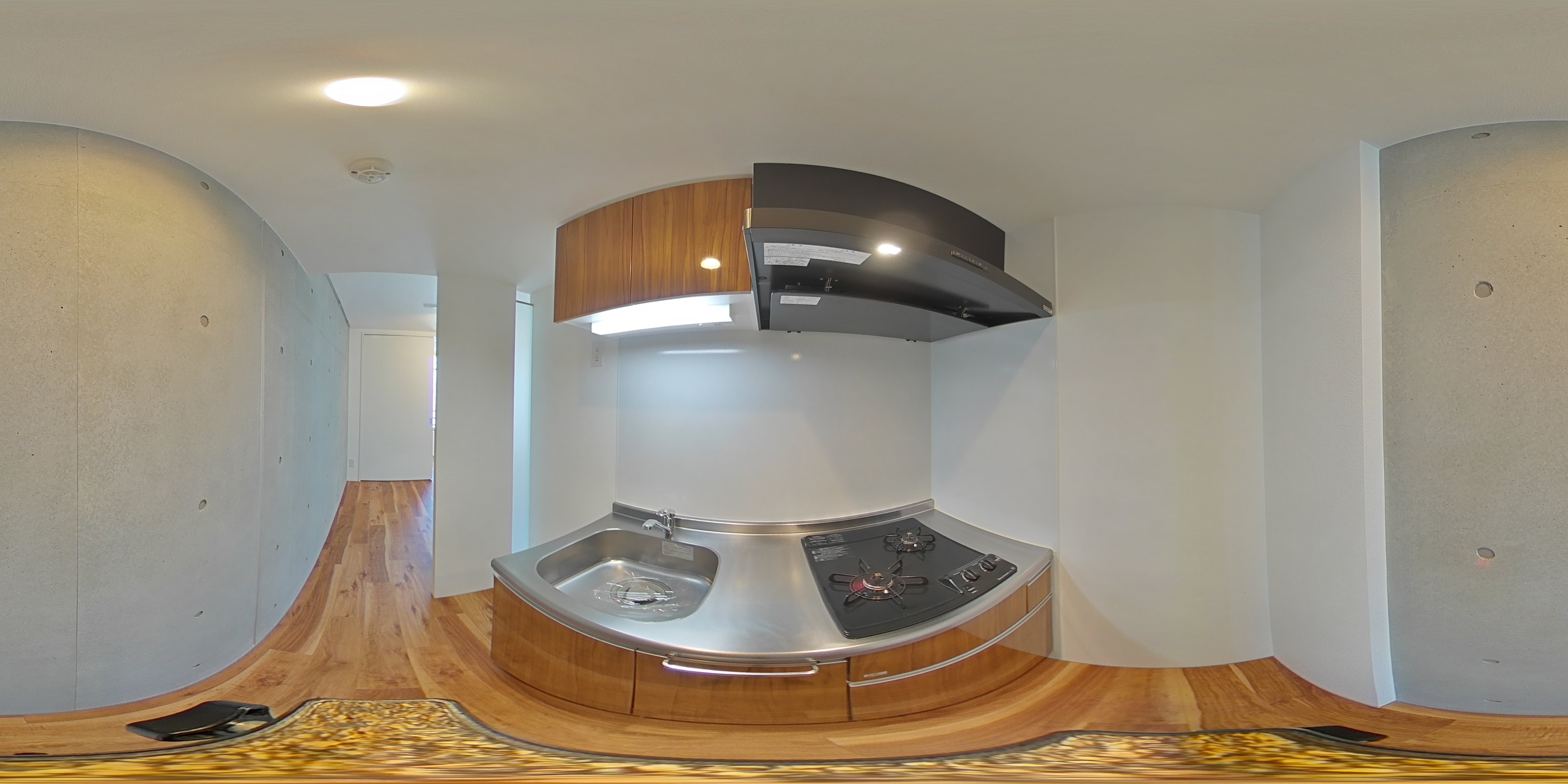 パノラマ画像_1