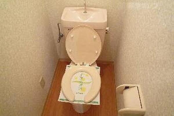 トイレも清潔素敵な空間。