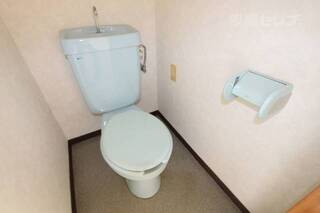 落ち着くトイレです　※301号の写真です