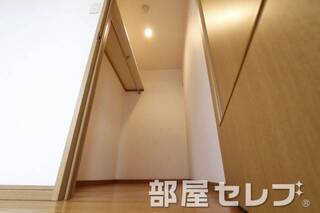 がっつり系ウォークインクローゼット。
