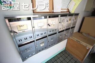 共有階段。
