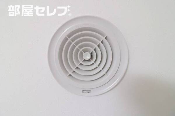 ※イメージ写真です