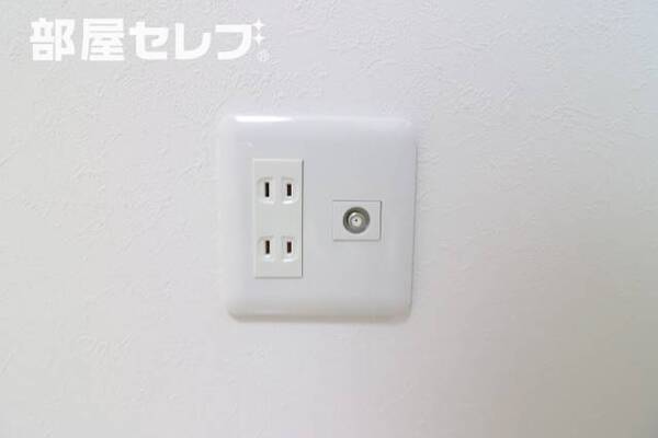 ※イメージ写真です