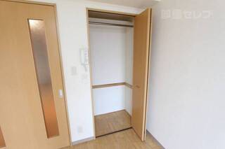 大きめのクローゼットです。