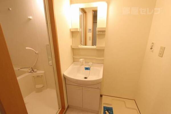 シャワータイプの洗面台です。