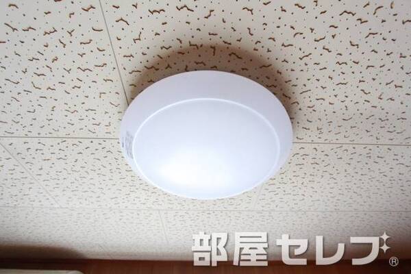 照明あり。