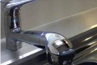 同タイプの写真です