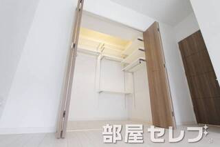 がっつり系ウォークインクローゼット。