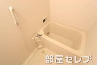 綺麗なバスです。
