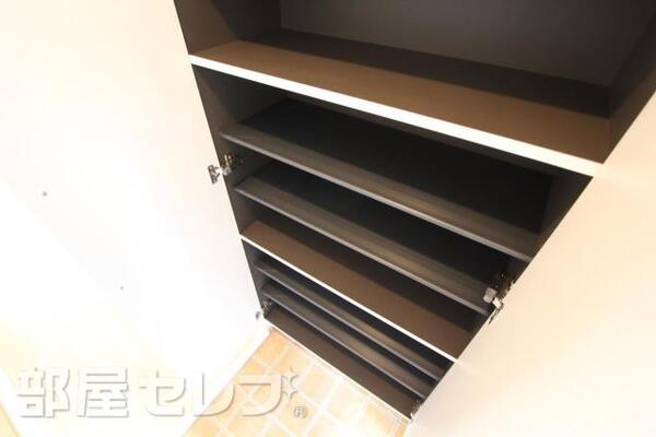 大容量のシューズボックス。