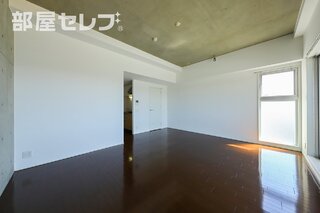 いろんな角度から楽しめますね