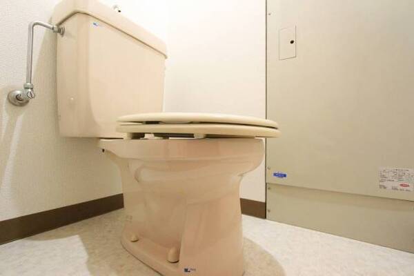 綺麗なトイレットルームです。