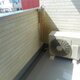 部屋画像9