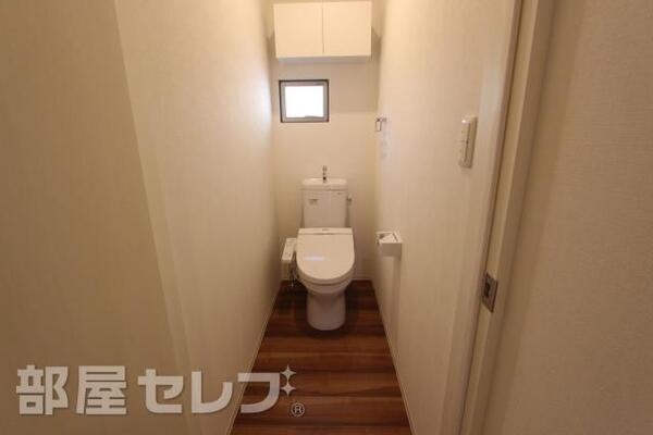 2016年11月4日撮影