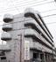 シャンポール並木