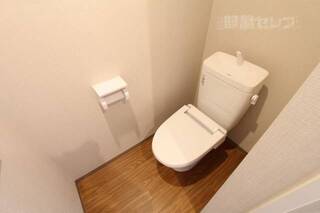 トイレにも落ち着きの色合いがあります。
