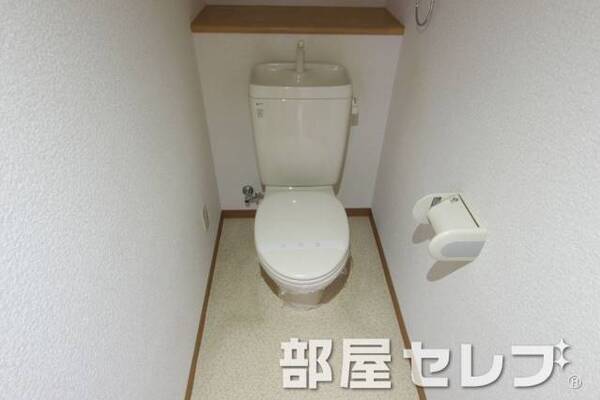 きれいしています。