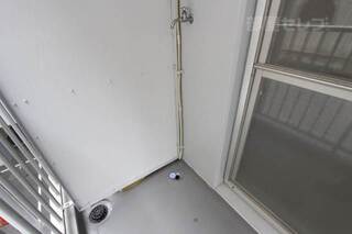反転タイプの写真です
