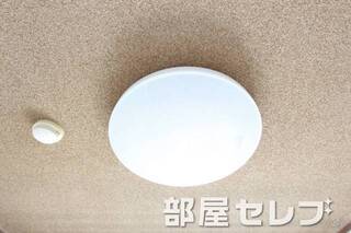 照明有。