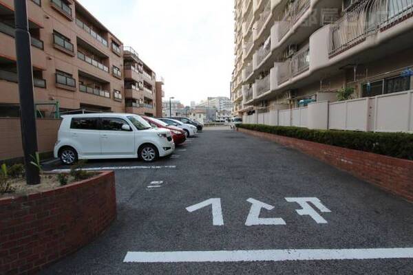 普通車が停められる駐車場です。