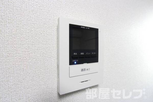 2017.1.29撮影