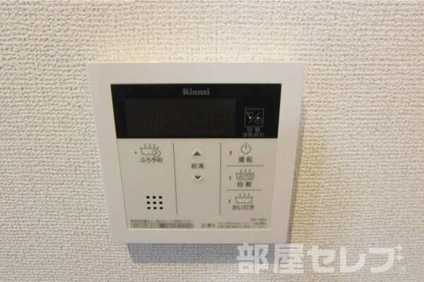2017.1.29撮影