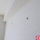 部屋画像24