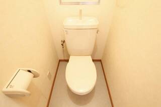 落ち着く空間のトイレです。(305号室の写真です)