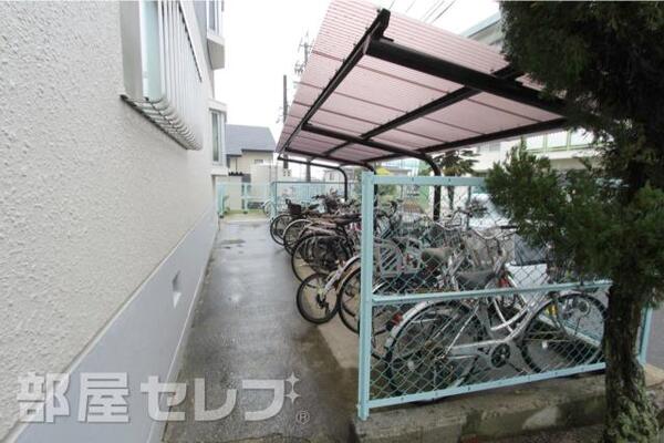 2016年11月19日撮影