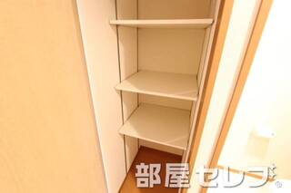 使いやすいサイズの収納です。
