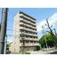 パール徳川