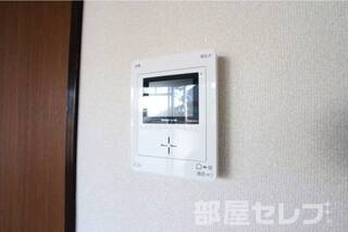 2017.1.29撮影