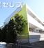 プレシャス植田