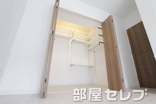 がっつり系ウォークインクローゼット。