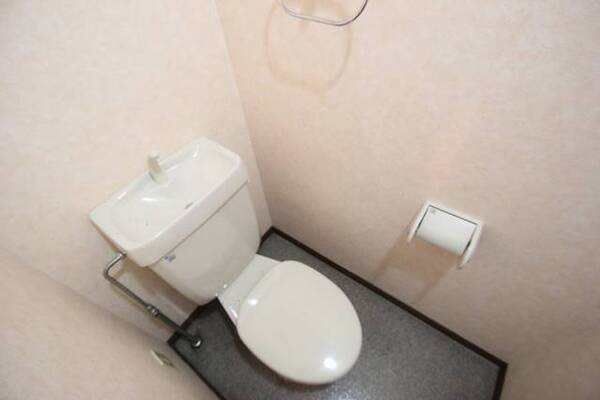 清潔感あるトイレです。他号室の写真です。