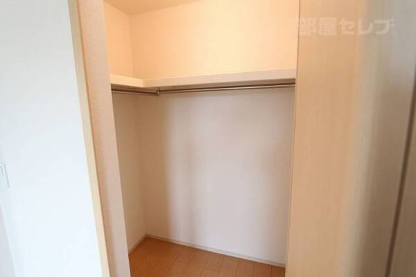 南側洋室のウォークイン・クローゼットです。
