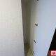部屋画像16