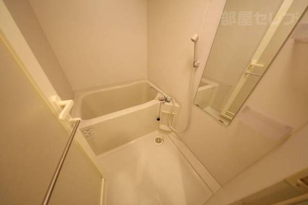 反転タイプの写真です
