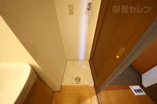 反転タイプの写真です