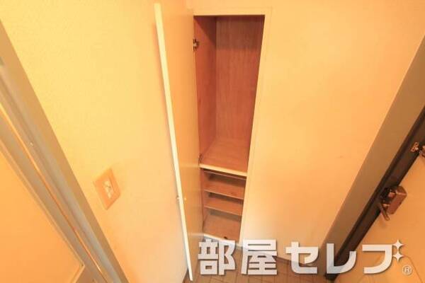 たっぷりシューズボックス。