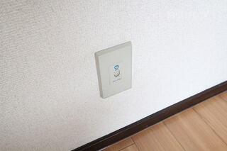電話線です