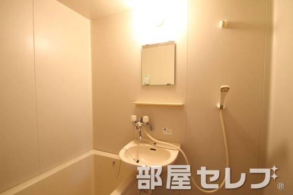 同タイプの写真です。