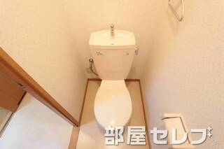 きれいなトイレです。他号室の写真です。