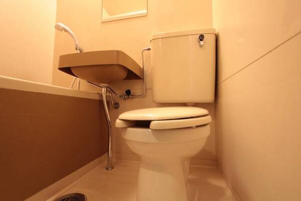 トイレも同様でお掃除ラクラク出来ます（06号室内装写真参照）